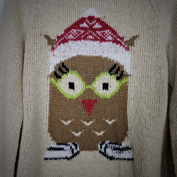 Democracy Owl Tunic Knit Oversized Sweater - Picture 2 of 6